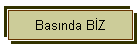 Basnda BZ