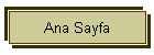 Ana Sayfa