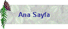 Ana Sayfa