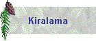 Kiralama