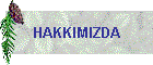 HAKKIMIZDA